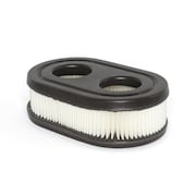 BRIGGS & STRATTON Air Filter (5 of 593260) 4247
